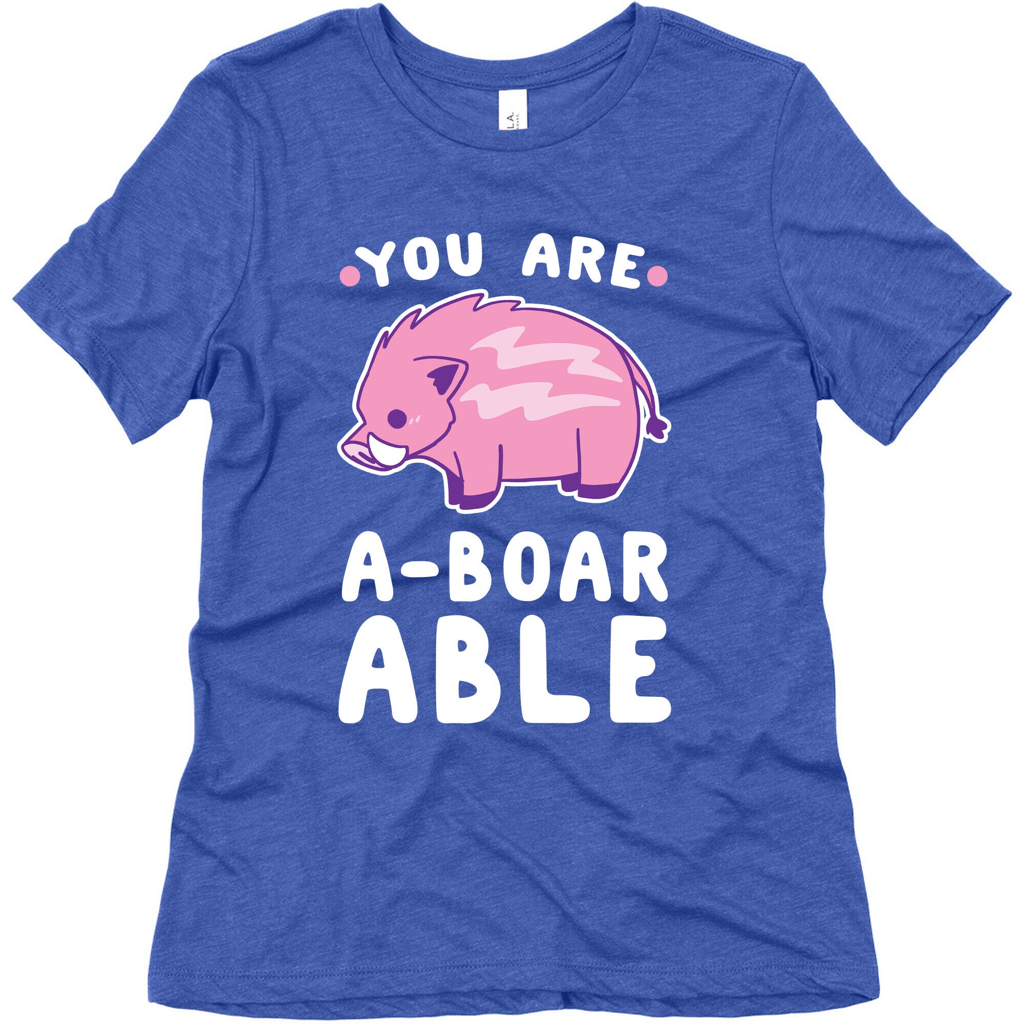 You are Aboarable Women's Triblend Tee